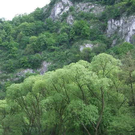 Vendégház Erdész