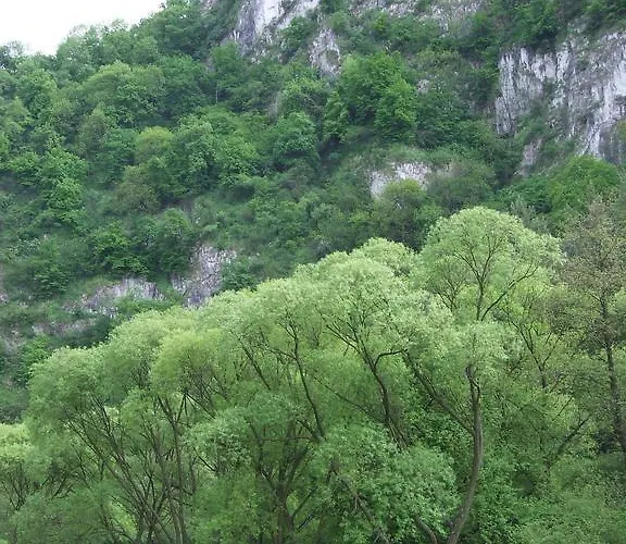 招待所 Erdesz Vendeghaz